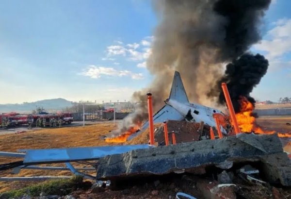 Cənubi Koreyadakı aviaqəzanın təfərrüatı məlum oldu