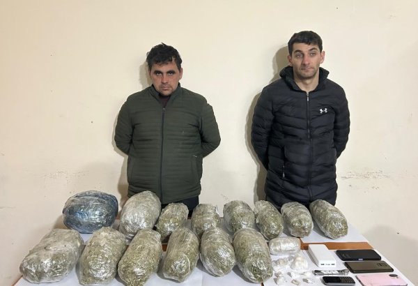 Ötən ilin dekabr ayında 246 kq-dan çox narkotik vasitə qanunsuz dövriyyədən çıxarılıb - DSX