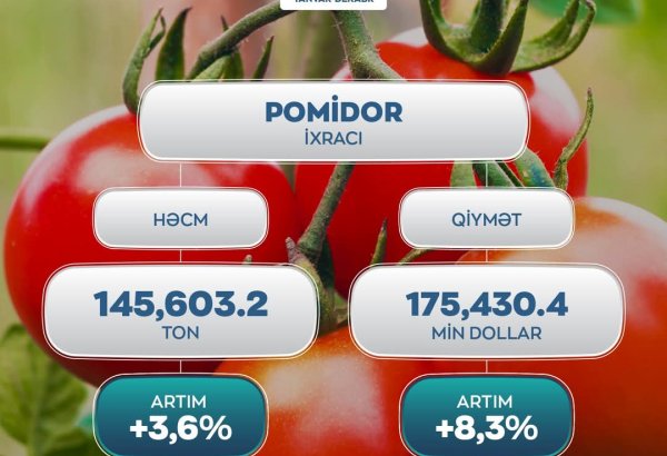 Azərbaycanın pomidor ixracından əldə etdiyi gəlir məlum olub
