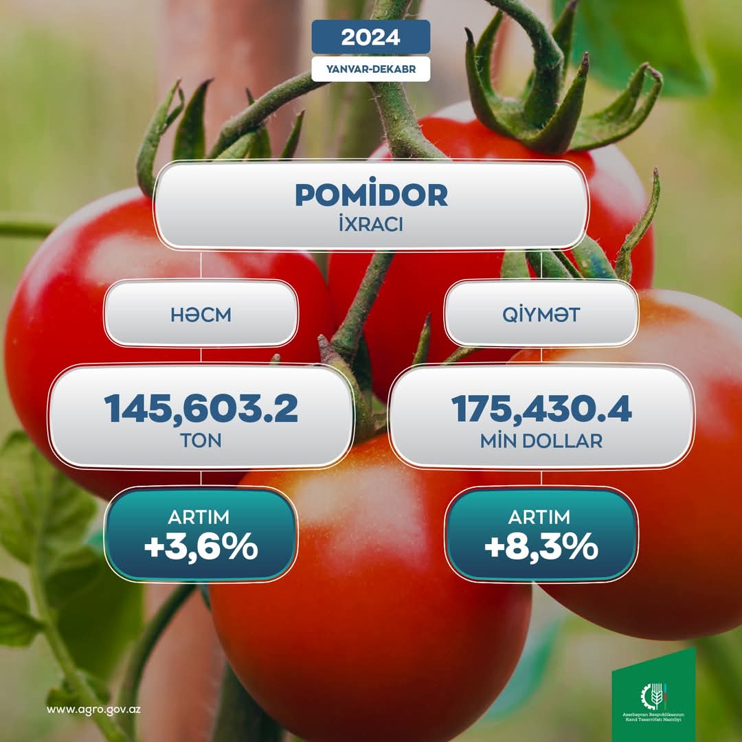 Azərbaycanın pomidor ixracından əldə etdiyi gəlir məlum olub