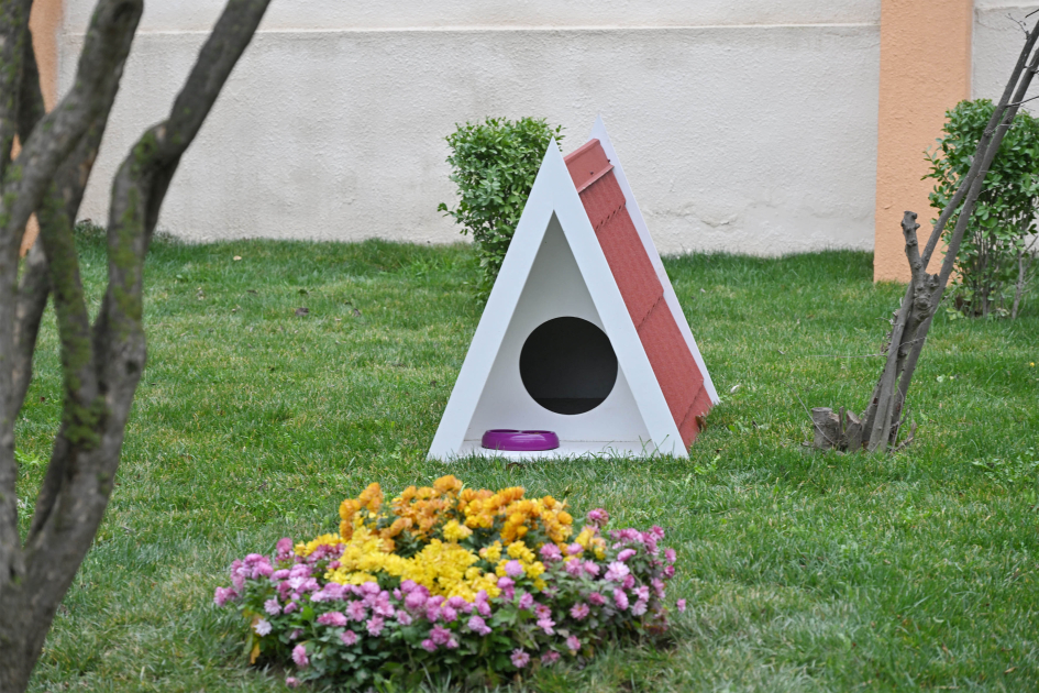 Heydər Əliyev Fondunun vitse-prezidenti Leyla Əliyeva və Baku Media Mərkəzinin rəhbəri Arzu Əliyevanın iştirakı ilə Bakıda yenilənmiş həyətlər istifadəyə verilib (FOTO)