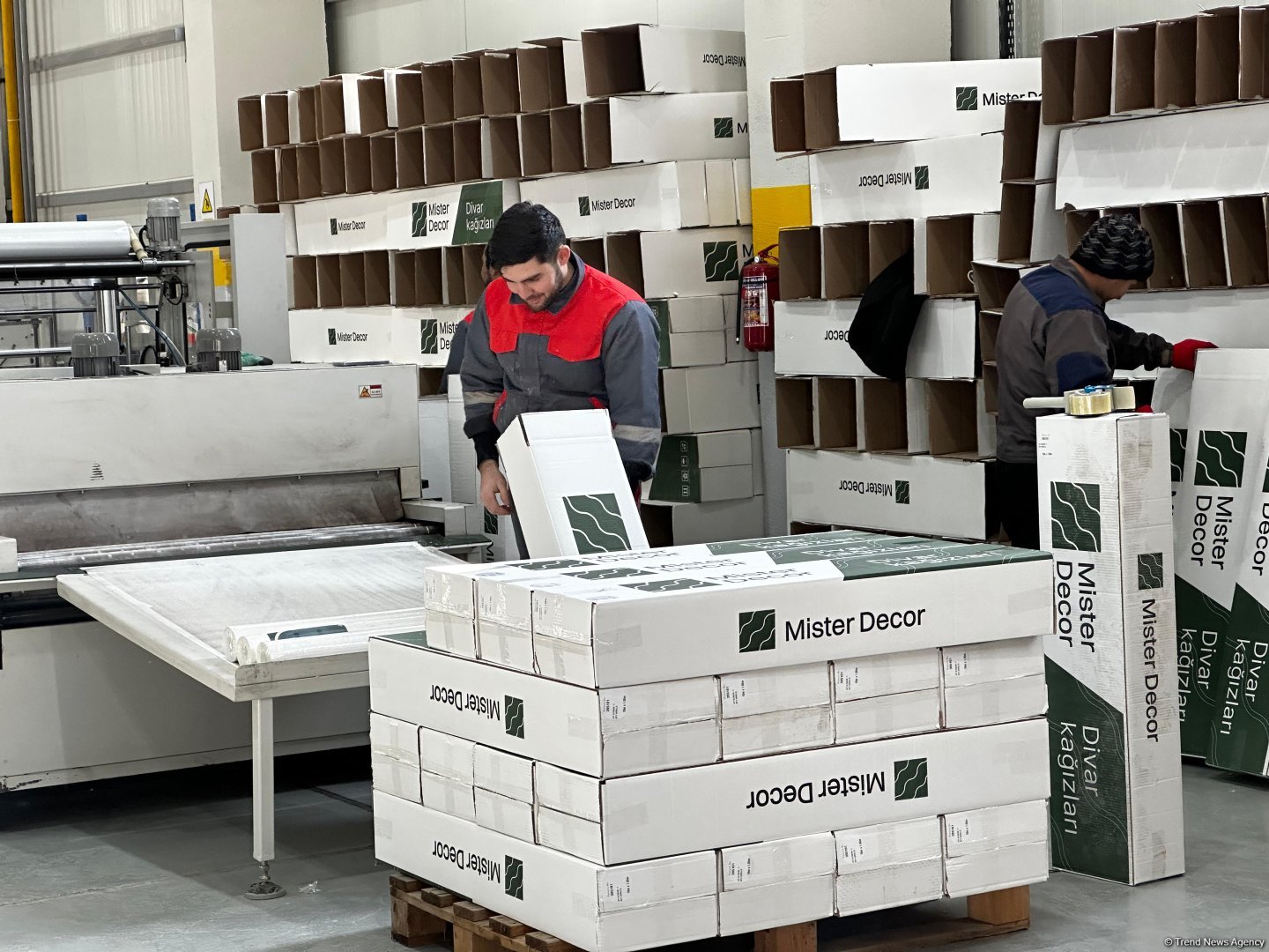 Şirkətimiz növbəti ildə oboy istehsalının yarısını Gürcüstana ixrac edəcək - Direktor müavini (FOTO)