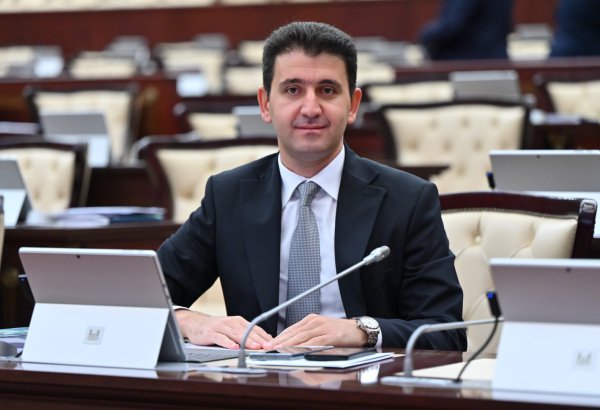 Regionlarda gənclər sektorundakı təşkilatların sayında azalma var – Deputat