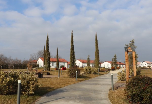 Xocalı şəhəri yaşıllığa bürünür - FOTOREPORTAJ