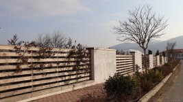Xocalı şəhəri yaşıllığa bürünür - FOTOREPORTAJ