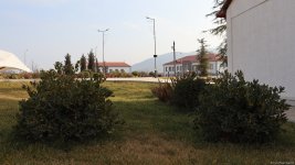 Xocalı şəhəri yaşıllığa bürünür - FOTOREPORTAJ
