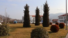 Xocalı şəhəri yaşıllığa bürünür - FOTOREPORTAJ