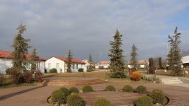 Xocalı şəhəri yaşıllığa bürünür - FOTOREPORTAJ