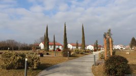 Xocalı şəhəri yaşıllığa bürünür - FOTOREPORTAJ