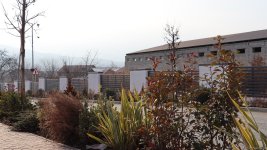 Xocalı şəhəri yaşıllığa bürünür - FOTOREPORTAJ
