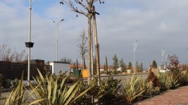 Xocalı şəhəri yaşıllığa bürünür - FOTOREPORTAJ