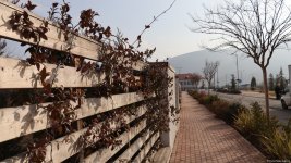 Xocalı şəhəri yaşıllığa bürünür - FOTOREPORTAJ