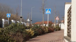 Xocalı şəhəri yaşıllığa bürünür - FOTOREPORTAJ