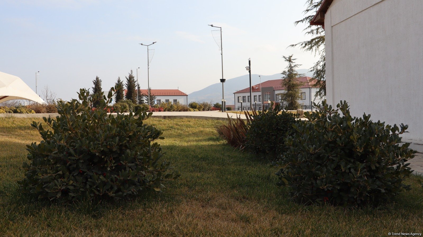Xocalı şəhəri yaşıllığa bürünür - FOTOREPORTAJ