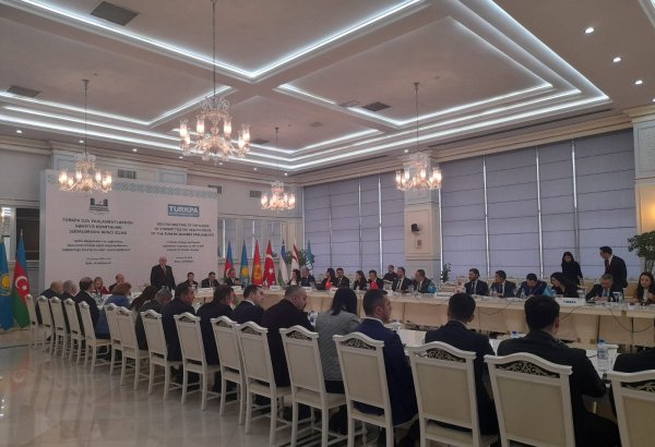 TÜRKPA üzv parlamentlərinin Səhiyyə komitələri sədrlərinin ikinci iclası keçirilib (ƏLAVƏ OLUNUB)