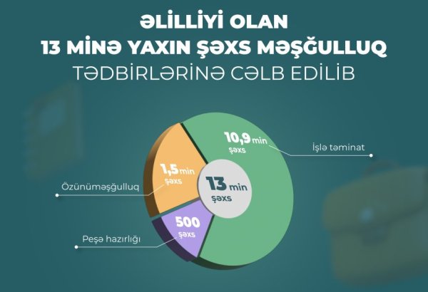 Son bir ildə  əlilliyi olan neçə nəfər məşğulluq tədbirlərinə cəlb edilib?