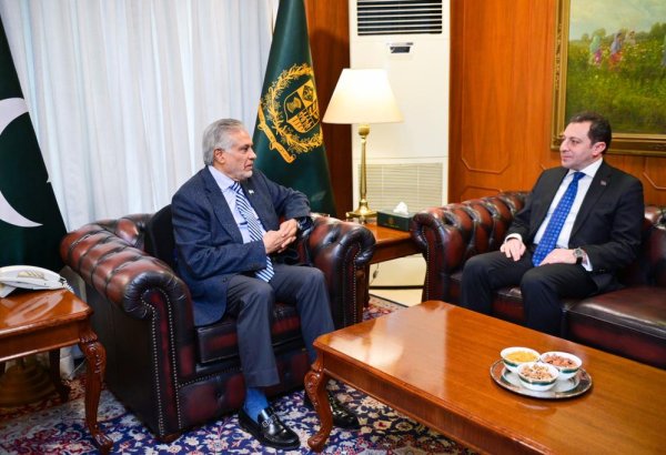 Elnur Məmmədov Pakistan XİN rəhbəri ilə görüşüb (FOTO)