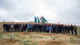 Müşfiqabad qəsəbəsində ağacəkmə aksiyası keçirilib