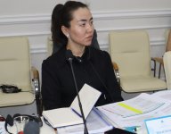 Türk Mədəniyyəti və İrsi Fondunun mənzil qərargahında təşkilatın Şura toplantısına hazırlıq məqsədi daşıyan 2-ci Ekspert-Səviyyəli iclas keçirildi (FOTO)