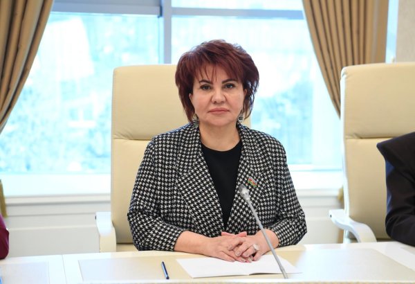 İğdır-Naxçıvan qaz kəmərinin açılışı iki qardaş ölkə arasında mühüm tarixi əhəmiyyətə malik bir hadisədir - Deputat