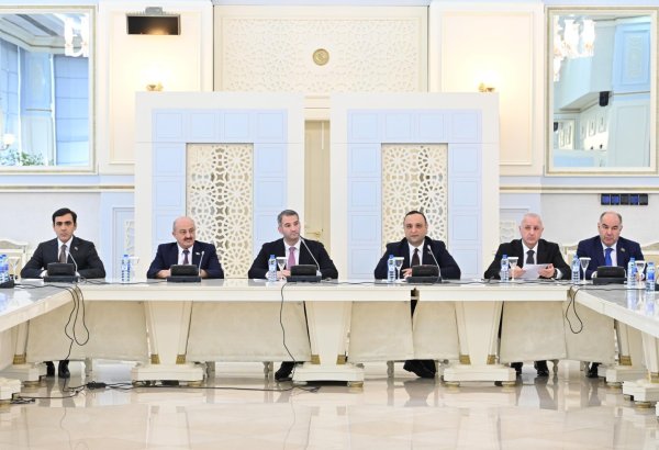 Gənclər və idman komitəsinin iclasında Gənclər Fondunun 2024-cü ildə fəaliyyəti haqqında təqdimat dinlənilib (FOTO)