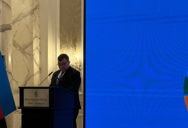 Azərbaycan BMT ilə Çərçivə sənədinə yeni istiqamətlərin daxil edilməsini təklif edib