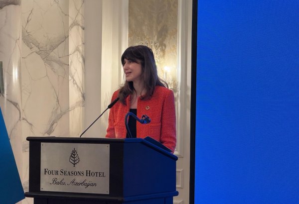 Gənclərin dayanıqlı inkişafda iştirakını genişləndirmək üçün bilik və təcrübə mübadiləsi vacibdir - Vladanka Andreyeva