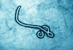 Uqandada “Ebola” virusu qeydə alınıb