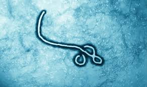 Konqoda Ebola virusu yenidən yayılıb