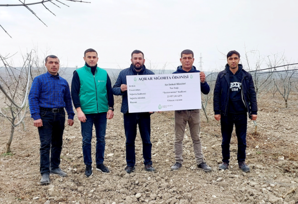 Göyçay və Kürdəmirdə fermerlərə sığorta ödənişləri edilib - FOTO