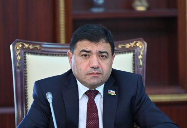 Kiberhücumlardan hətta inkişaf etmiş sənaye dövlətləri belə sığortalanmayıb – Millət vəkili