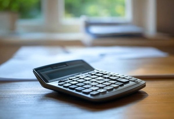 Rəsmi statistik hesabatların təqdim edilməsində "Digital login" sisteminin tətbiqinə başlanacaq