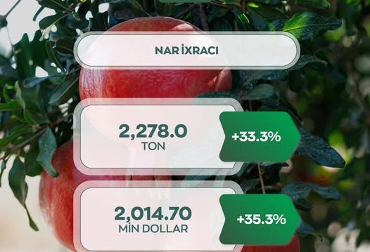 Ötən ay Azərbaycandan ixrac olunan narın həcmi açıqlanıb