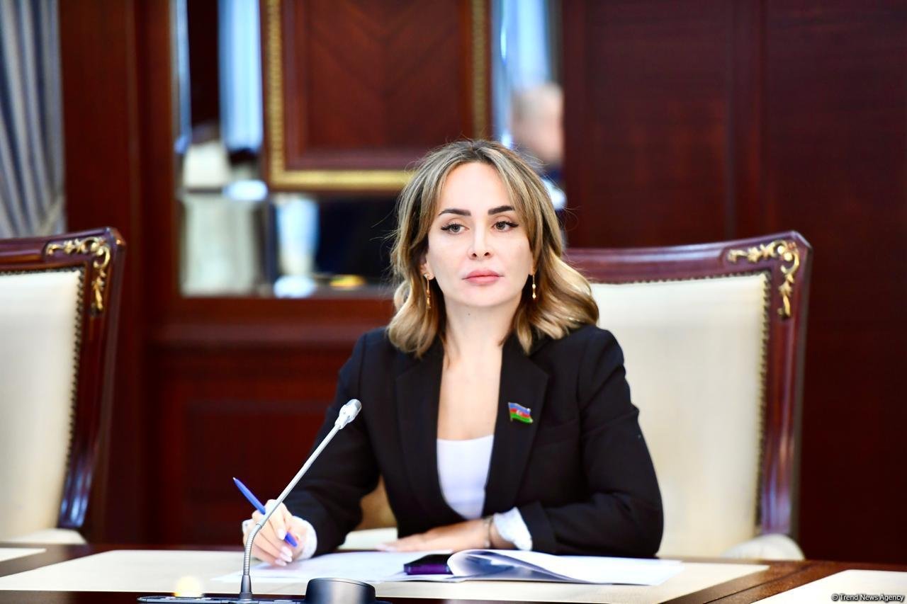 BTQ-in yaradılması dünyada müsbət qarşılanır və dəstəklənir - Deputat