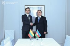 Ceyhun Bayramov litvalı həmkarı ilə beynəlxalq təhlükəsizliyi müzakirə edib (FOTO)