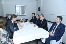 Ceyhun Bayramov litvalı həmkarı ilə beynəlxalq təhlükəsizliyi müzakirə edib (FOTO)
