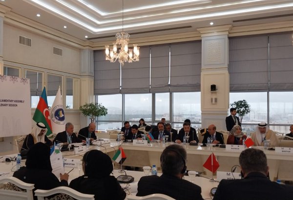 Asiya Parlament Assambleyasının iqtisadiyyat və dayanıqlı inkişaf üzrə yeddi qətnaməsinin layihəsi təsdiqləndi