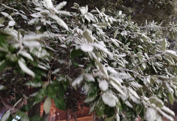 Ölkə ərazisində faktiki hava açıqlanıb