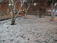 Qarlı Bakıdan FOTOREPORTAJ