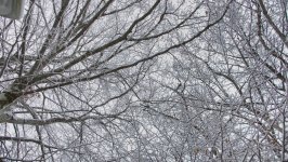 Ağappaq qar örpəyinə bürünmüş Şəkidən FOTOREPORTAJ