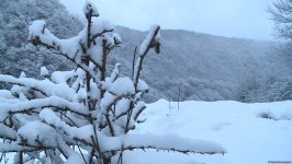 Ağappaq qar örpəyinə bürünmüş Şəkidən FOTOREPORTAJ