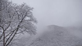 Ağappaq qar örpəyinə bürünmüş Şəkidən FOTOREPORTAJ