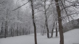 Ağappaq qar örpəyinə bürünmüş Şəkidən FOTOREPORTAJ