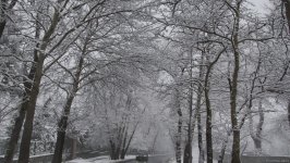 Ağappaq qar örpəyinə bürünmüş Şəkidən FOTOREPORTAJ