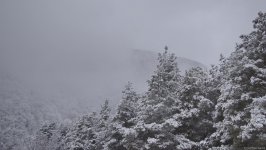Ağappaq qar örpəyinə bürünmüş Şəkidən FOTOREPORTAJ