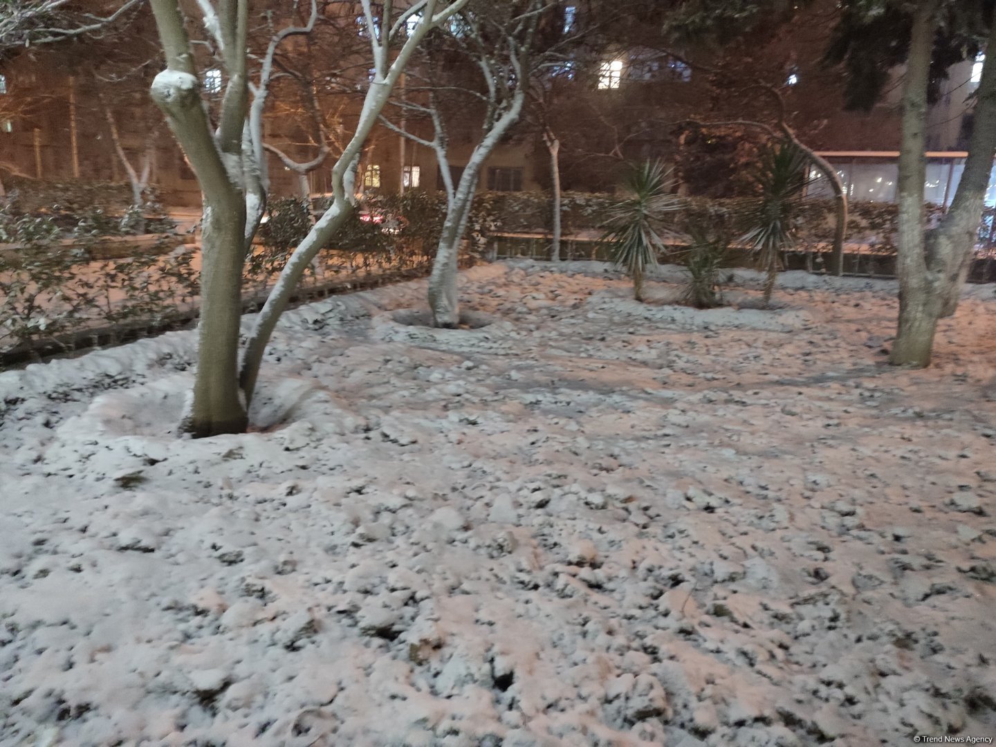 Qarlı Bakıdan FOTOREPORTAJ