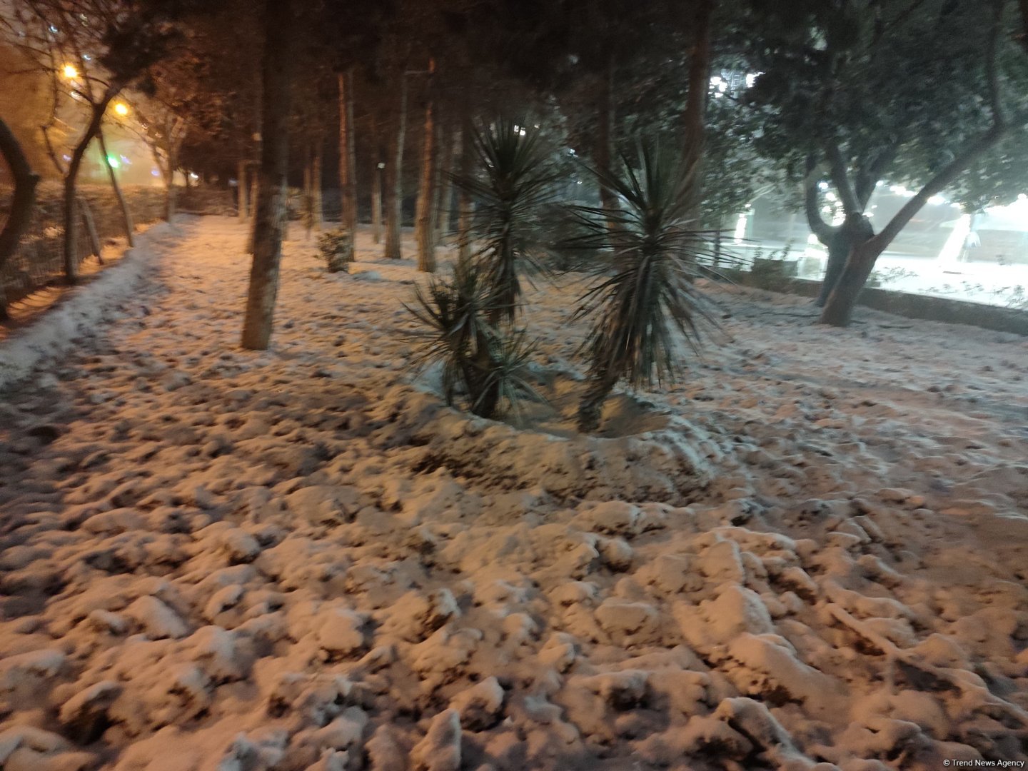 Qarlı Bakıdan FOTOREPORTAJ