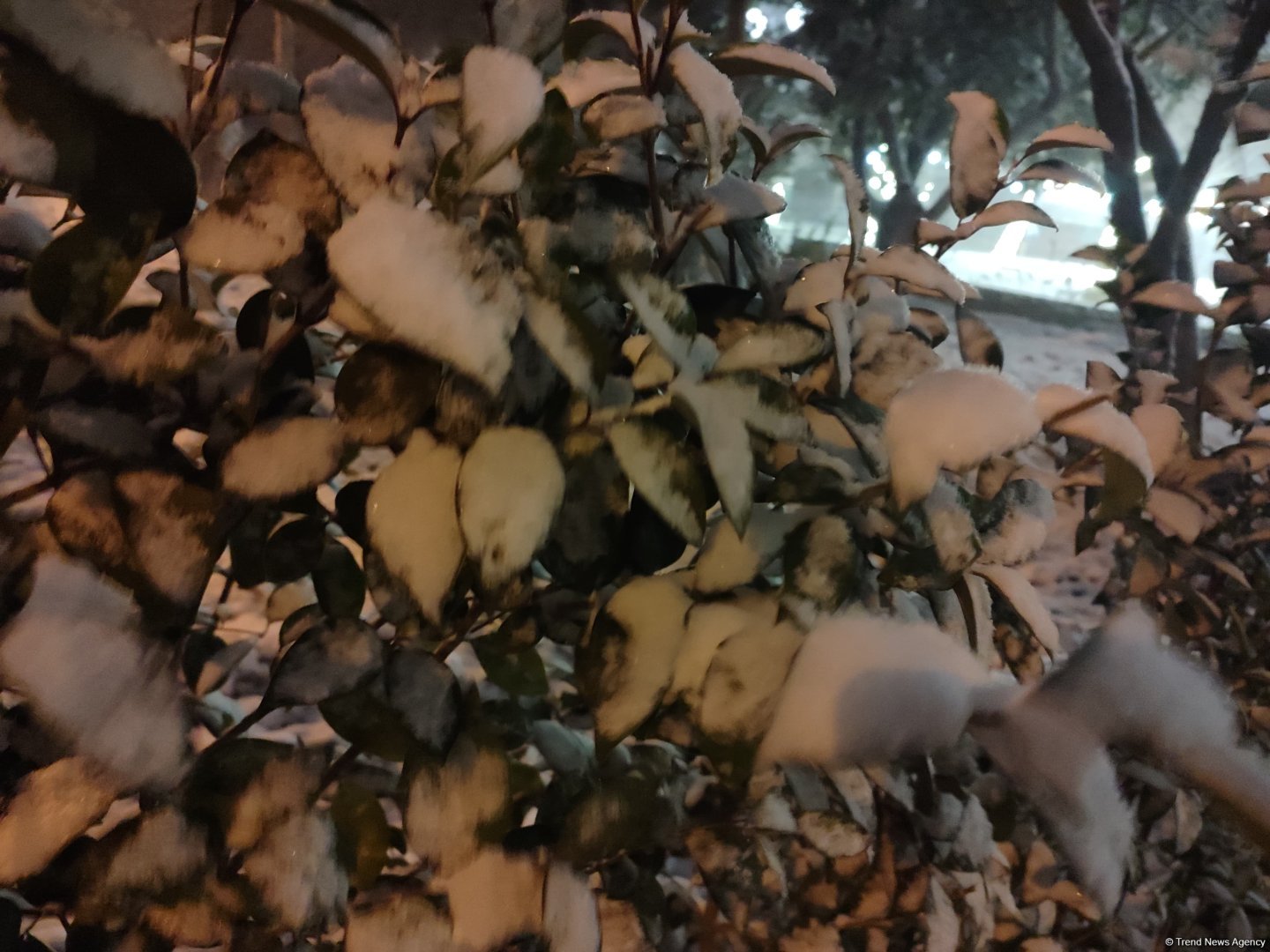 Qarlı Bakıdan FOTOREPORTAJ