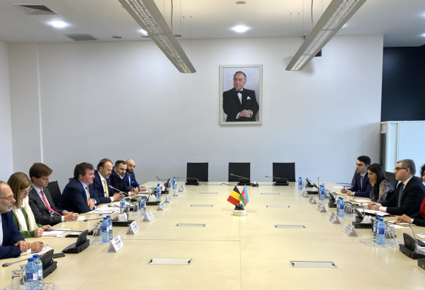 Azərbaycan və Belçika investisiya tərəfdaşlığının gücləndirilməsini müzakirə edib