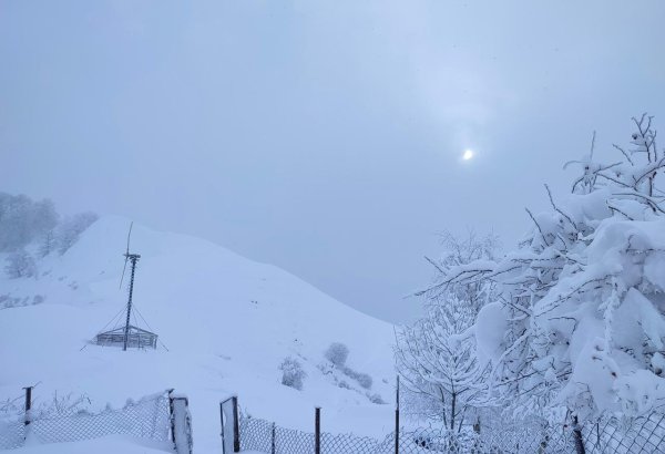 Müşahidə olunan temperatur iqlim normasından 7.5 dərəcə aşağıdır